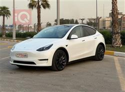 تسلا موديل Y